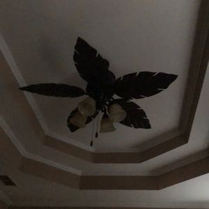 Meet your Posher, Rodney